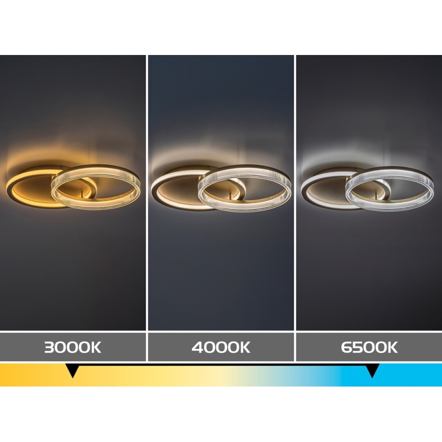 Rabalux - LED stmievateľné stropné svietidlo LED/22W/230V 3000-6500K 53,5x35 cm + diaľkové ovládanie