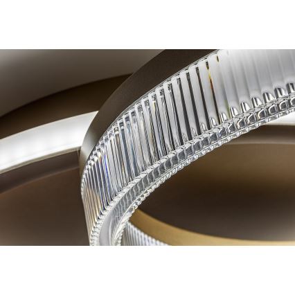 Rabalux - LED stmievateľné stropné svietidlo LED/22W/230V 3000-6500K 53,5x35 cm + diaľkové ovládanie