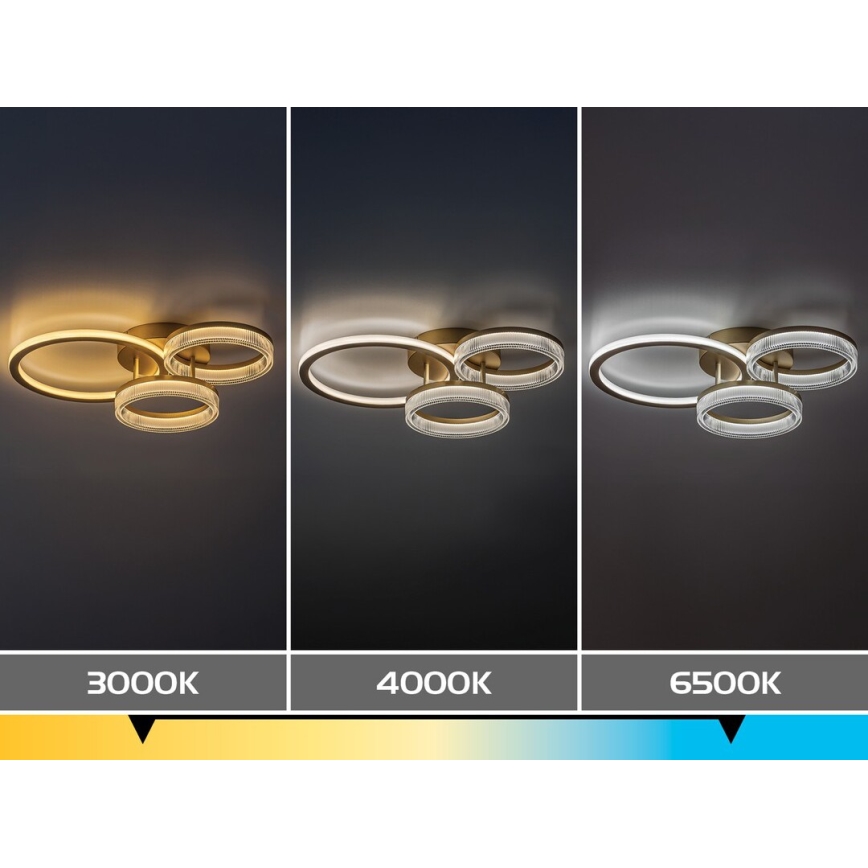 Rabalux - Stmievateľné LED stropné svietidlo 38 W / 230 V, 3000–6500 K, 58,5 × 38 cm + diaľkové ovládanie