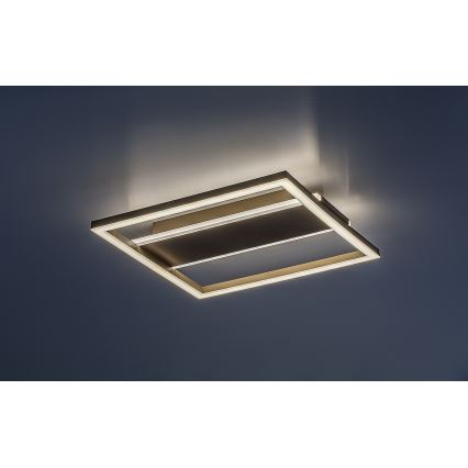 Rabalux - LED Stropné svietidlo LED/24W/230V 33x33 cm