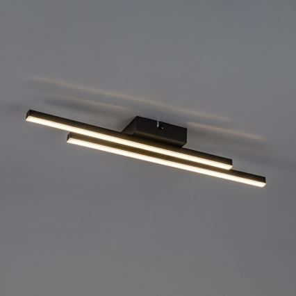 Rabalux - LED Stropné svietidlo LED/12W/230V 4000K čierna