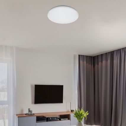 Rabalux - stropné LED svietidlo LED/12W/230V 4000K pr. 25,5 cm