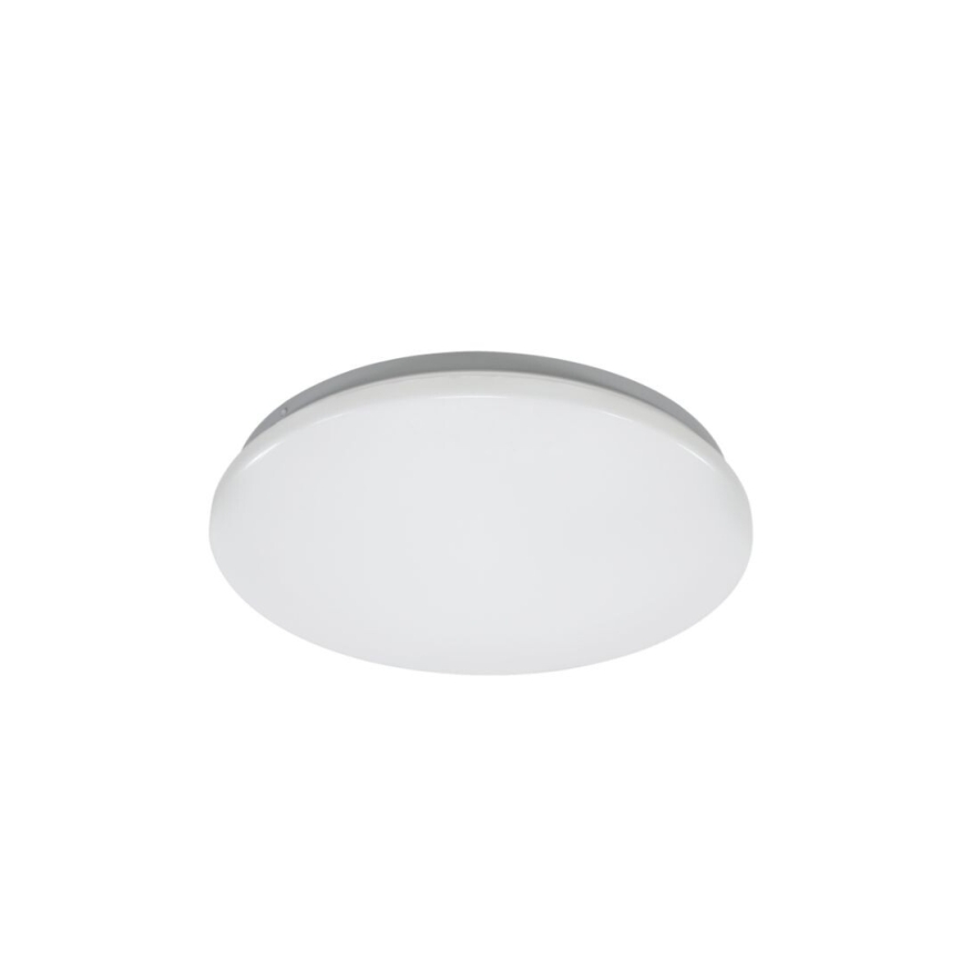 Rabalux - stropné LED svietidlo LED/12W/230V 4000K pr. 25,5 cm