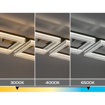 Rabalux - LED Stmievateľné stropné svietidlo LED/24W/230V 3000-6500K + diaľkové ovládanie
