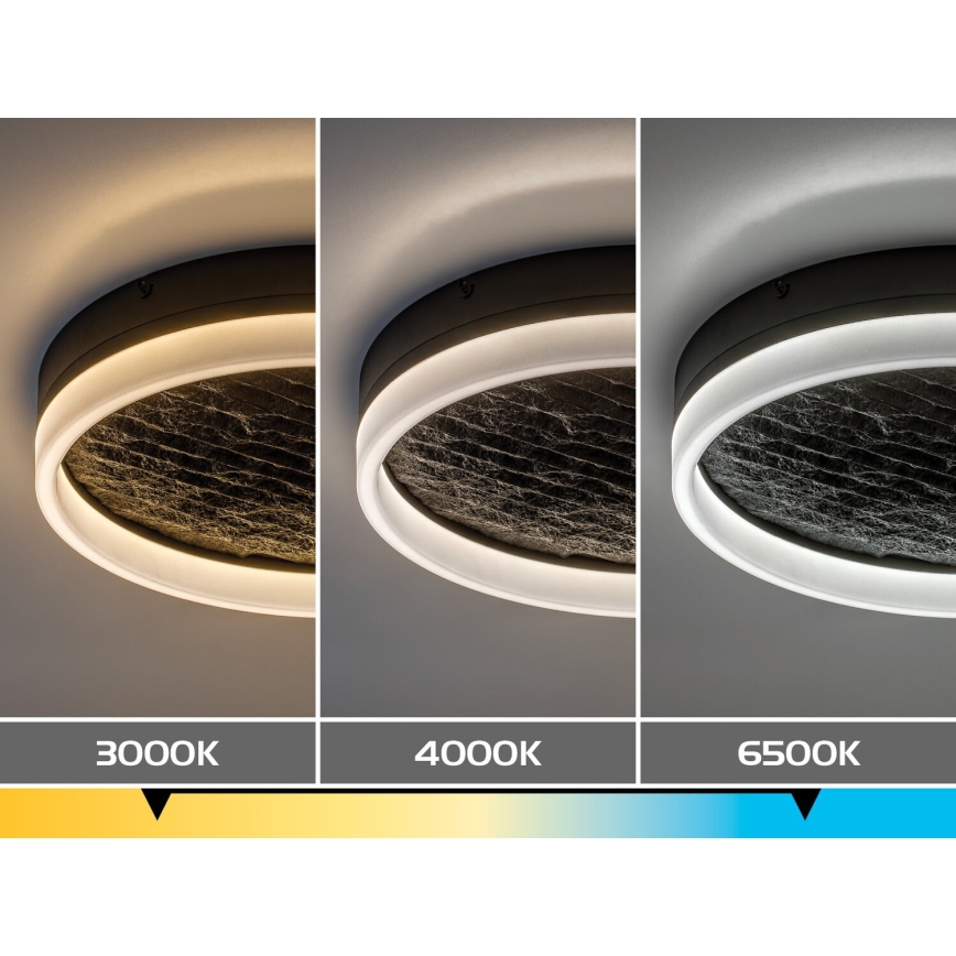 Rabalux - LED Stmievateľné stropné svietidlo LED/24W/230V 3000-6500K pr. 40 cm čierna + diaľkové ovládanie