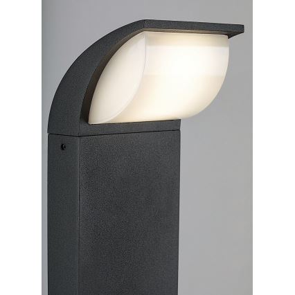 Rabalux - LED Vonkajšia lampa LED/9W/230V IP65