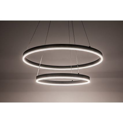 Rabalux - LED stmievateľný závesný luster na lane LED/80W/230V 3000-6500K + diaľkové ovládanie