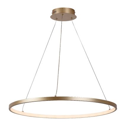 Rabalux - LED luster na lankách LED/55W/230V 3000K