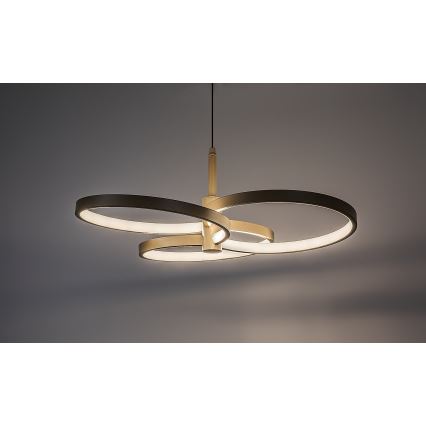 Rabalux - LED Stmievateľný luster na lanku LED/50W/230V 3000-6500K + diaľkové ovládanie