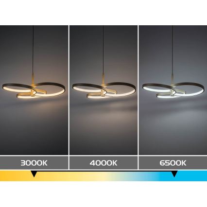 Rabalux - LED Stmievateľný luster na lanku LED/50W/230V 3000-6500K + diaľkové ovládanie