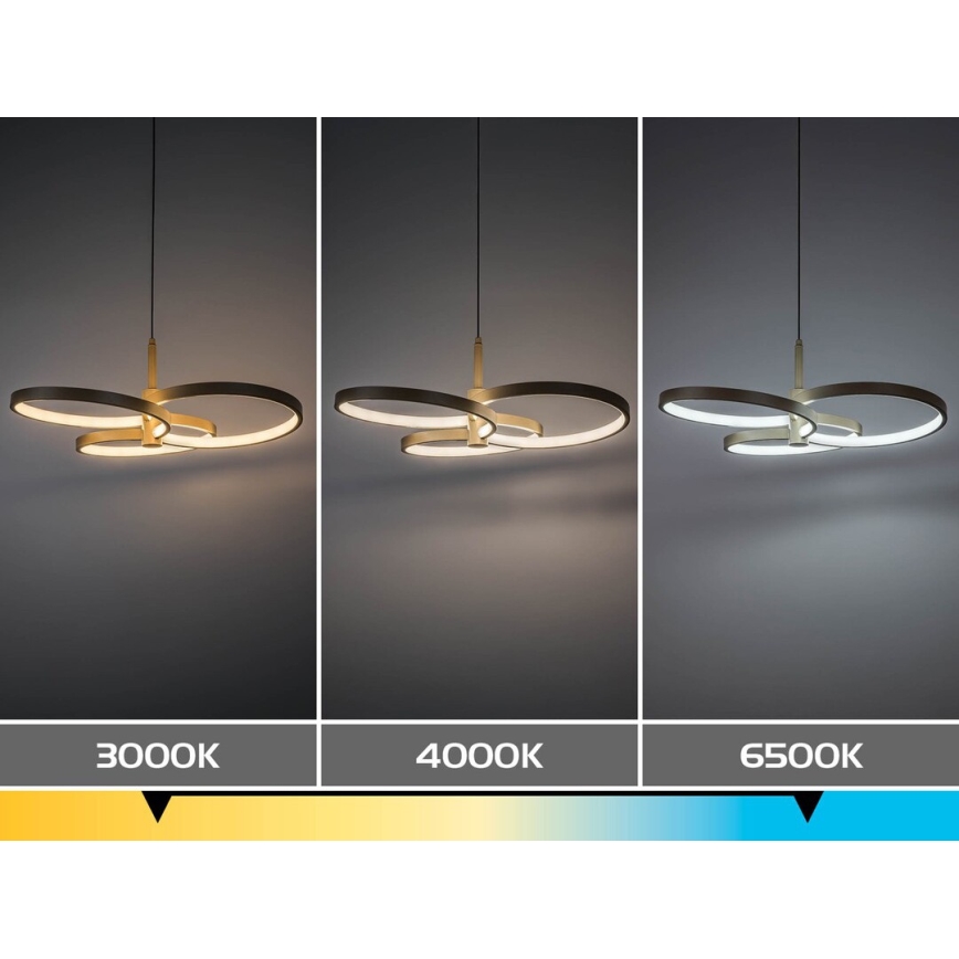 Rabalux - LED Stmievateľný luster na lanku LED/50W/230V 3000-6500K + diaľkové ovládanie
