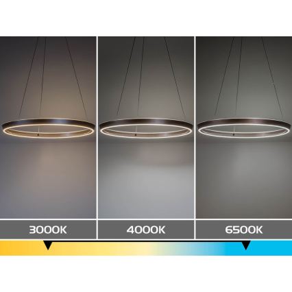 Rabalux - LED stmievateľný luster na lane LED/36W/230V 3000-6500K + diaľkové ovládanie