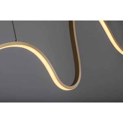 Rabalux - LED Luster na lanku LED/20W/230V 3000K