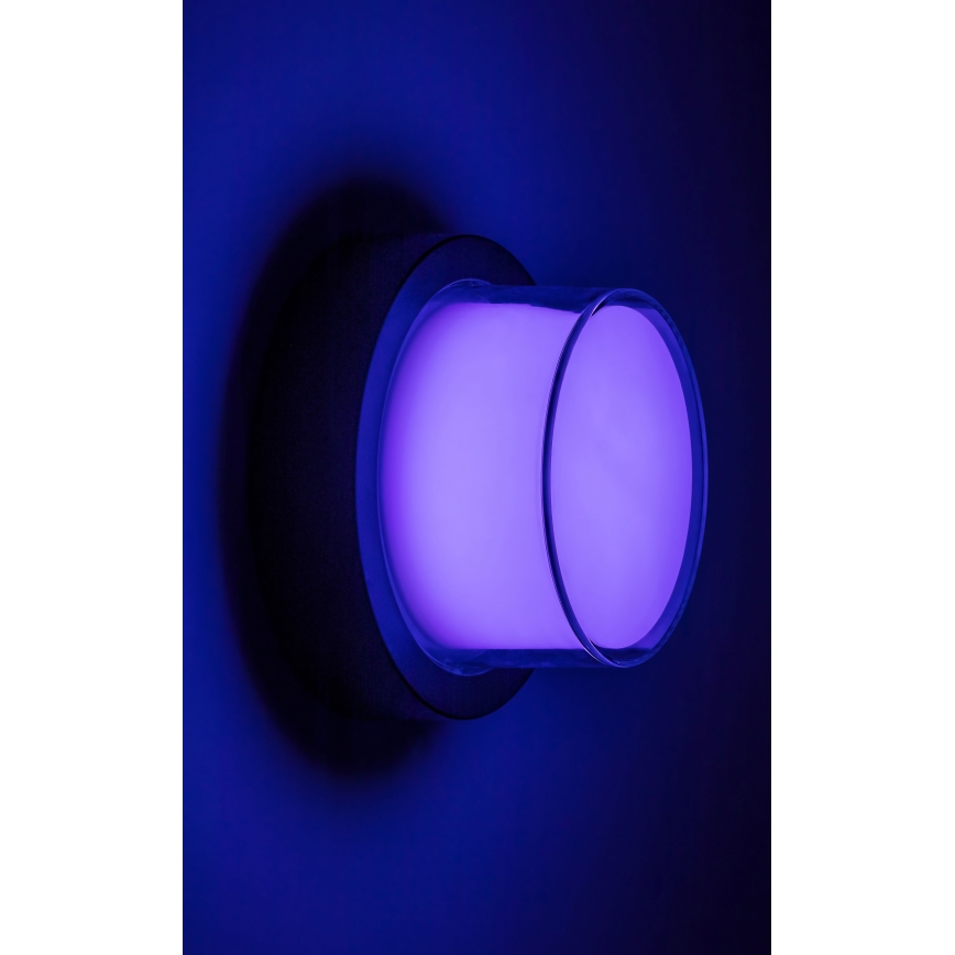 Rabalux - LED RGBW Stmievateľné vonkajšie nástenné svietidlo LED/10W/230V IP54 Wi-Fi Tuya