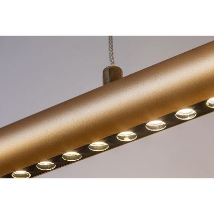 Rabalux - LED luster na lanku LED/24W/230V 3000K
