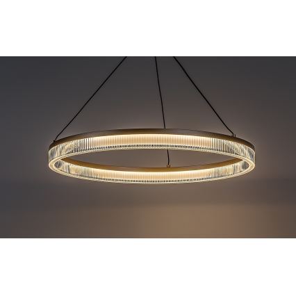 Rabalux - LED stmievateľný luster na lanku LED/24W/230V 3000-6500K + diaľkové ovládanie