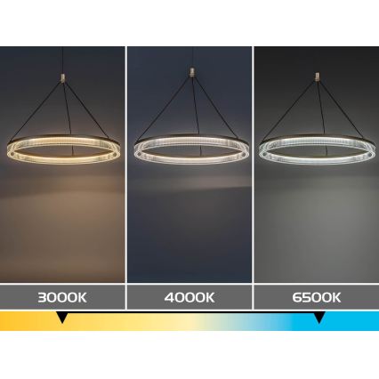 Rabalux - LED stmievateľný luster na lanku LED/24W/230V 3000-6500K + diaľkové ovládanie