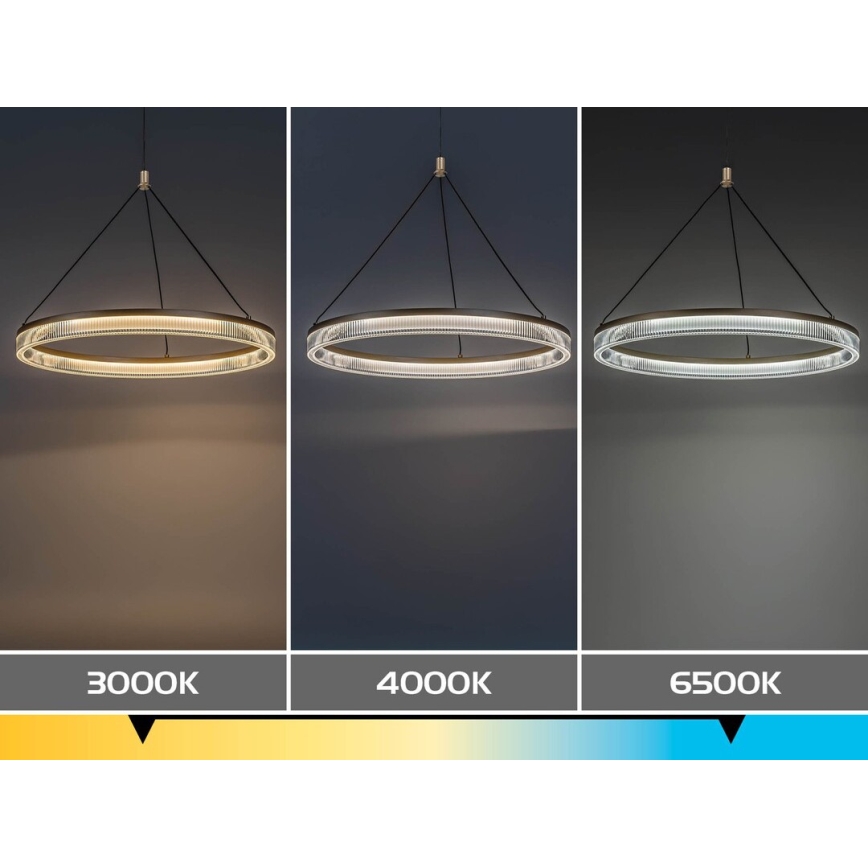 Rabalux - LED stmievateľný luster na lanku LED/24W/230V 3000-6500K + diaľkové ovládanie