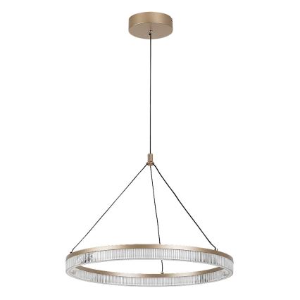 Rabalux - LED stmievateľný luster na lanku LED/24W/230V 3000-6500K + diaľkové ovládanie