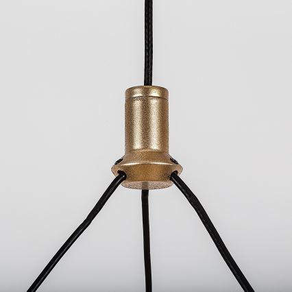 Rabalux - LED stmievateľný luster na lanku LED/24W/230V 3000-6500K + diaľkové ovládanie