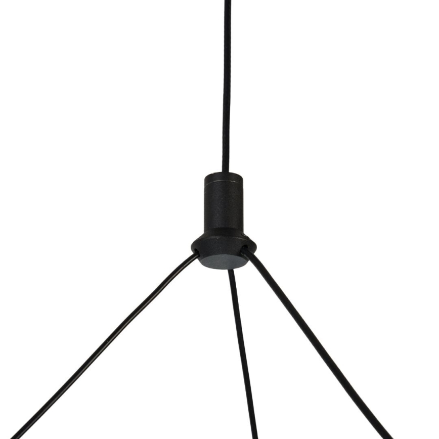 Rabalux - LED stmievateľný luster na lane LED/24W/230V 3000-6500K + diaľkové ovládanie