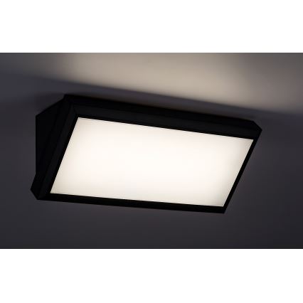 Rabalux - LED Vonkajšie nástenné svietidlo LED/12W/230V IP54