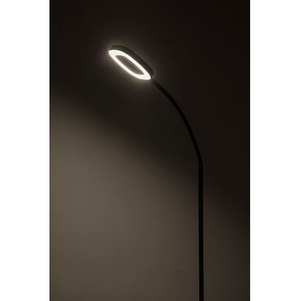 Rabalux - LED Stmievateľná dotyková stojacia lampa LED/11W/230V 3000K