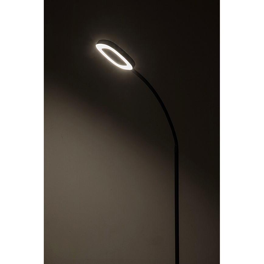 Rabalux - LED Stmievateľná dotyková stojacia lampa LED/11W/230V 3000K