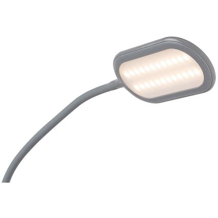 Rabalux - LED Stmievateľná dotyková stojacia lampa LED/10W/230V 3000-6000K šedá