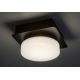 Rabalux - LED Stropné kúpeľňové svietidlo LED/5W/230V IP44 4000K čierna