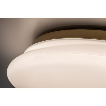 Rabalux - LED kúpeľňové stropné svietidlo LED/24W/230V IP44 pr. 41 cm