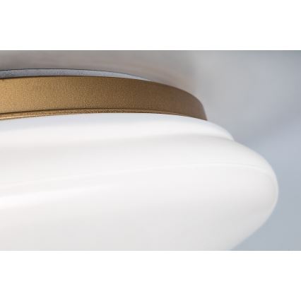 Rabalux - LED kúpeľňové stropné svietidlo LED/24W/230V IP44 pr. 41 cm