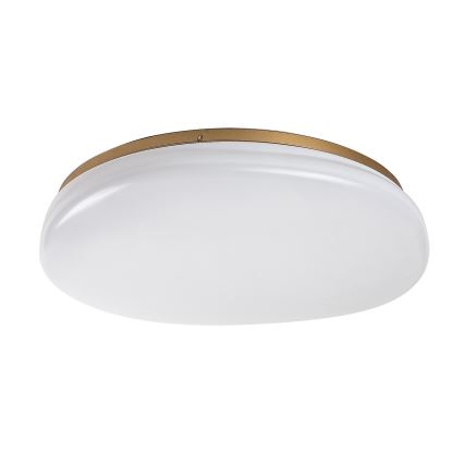 Rabalux - LED kúpeľňové stropné svietidlo LED/24W/230V IP44 pr. 41 cm