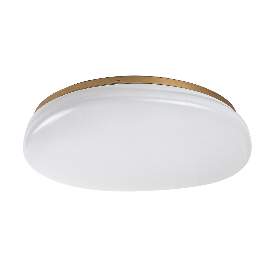 Rabalux - LED kúpeľňové stropné svietidlo LED/24W/230V IP44 pr. 41 cm