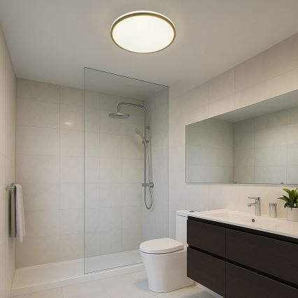 Rabalux - LED kúpeľňové stropné svietidlo LED/18W/230V IP44 pr. 34 cm