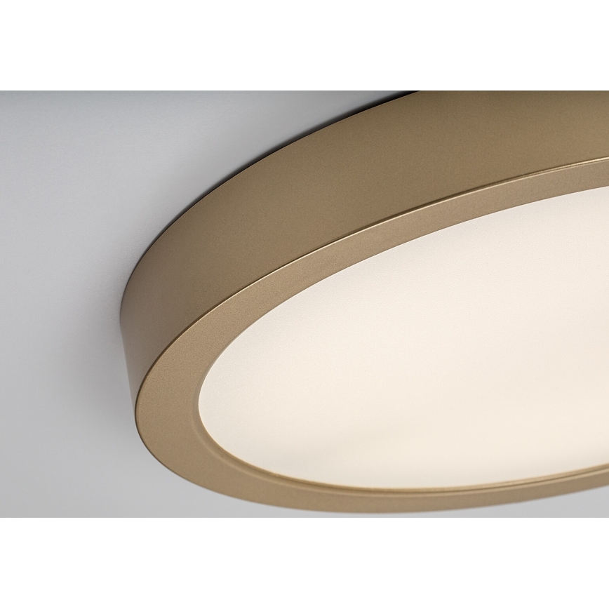 Rabalux - LED kúpeľňové stropné svietidlo LED/30W/230V pr. 30 cm IP44 zlaté