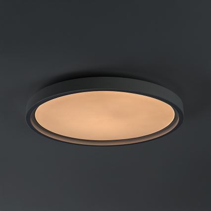 Rabalux - Stmievateľné LED stropné svietidlo LED/31W/230V IP40 3000-6500K pr. 41,5 cm + diaľkové ovládanie