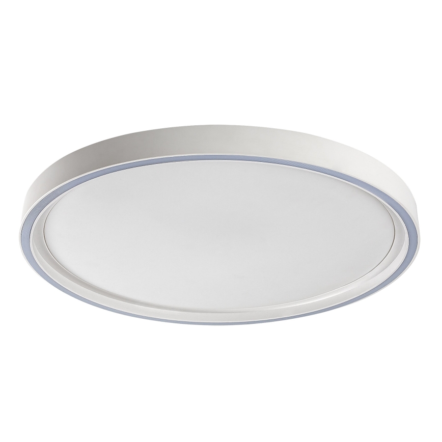 Rabalux - Stmievateľné LED stropné svietidlo LED/31W/230V IP40 3000-6500K pr. 41,5 cm + diaľkové ovládanie