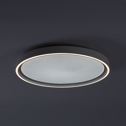 Rabalux - Stmievateľné LED stropné svietidlo LED/31W/230V IP40 3000-6500K pr. 41,5 cm + diaľkové ovládanie