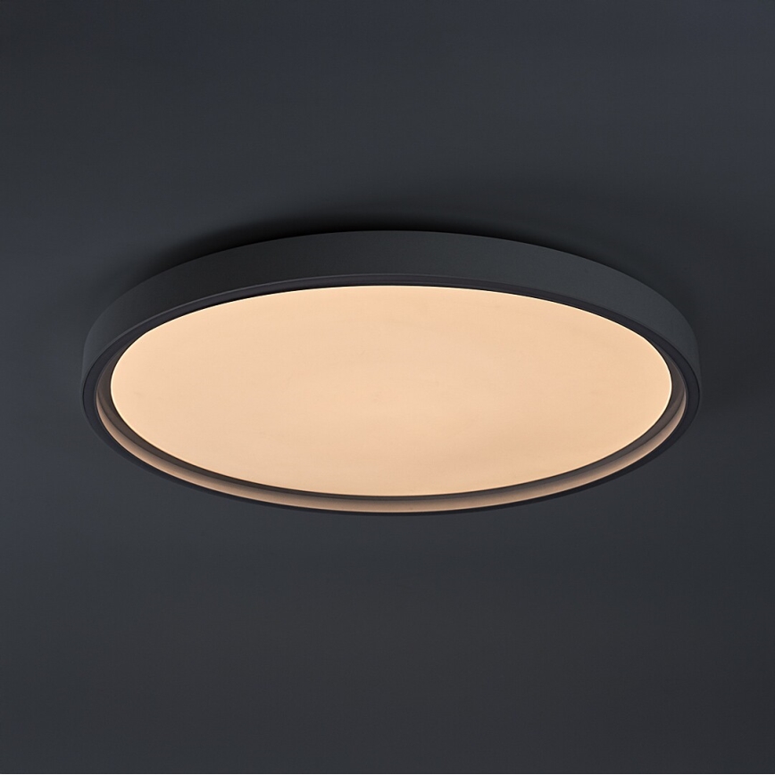 Rabalux - stmievateľné LED stropné svietidlo LED/54W/230V IP40 3000-6500K priemer 52 cm + diaľkové ovládanie