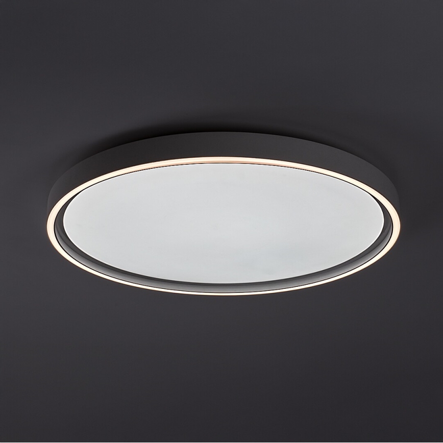 Rabalux - stmievateľné LED stropné svietidlo LED/54W/230V IP40 3000-6500K priemer 52 cm + diaľkové ovládanie