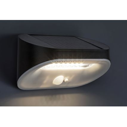 Rabalux - LED Solárne svietidlo so senzorom LED/3,2W/3,7V IP44