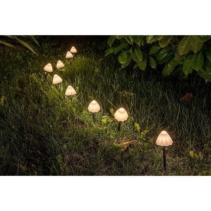 Rabalux - LED Solárne svietidlo 10xLED/0,2W/1,2V IP44 300 mAh