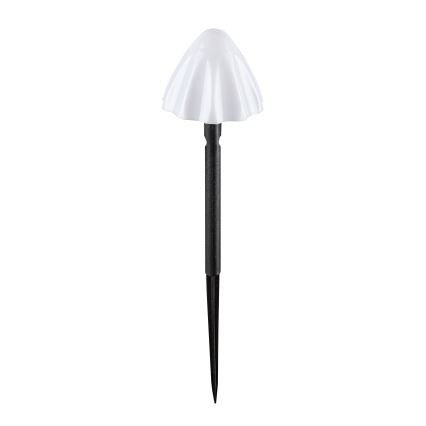 Rabalux - LED Solárne svietidlo 10xLED/0,2W/1,2V IP44 300 mAh