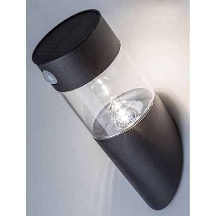 Rabalux - LED Solárne svietidlo so senzorom LED/1,5W/3,7V IP44