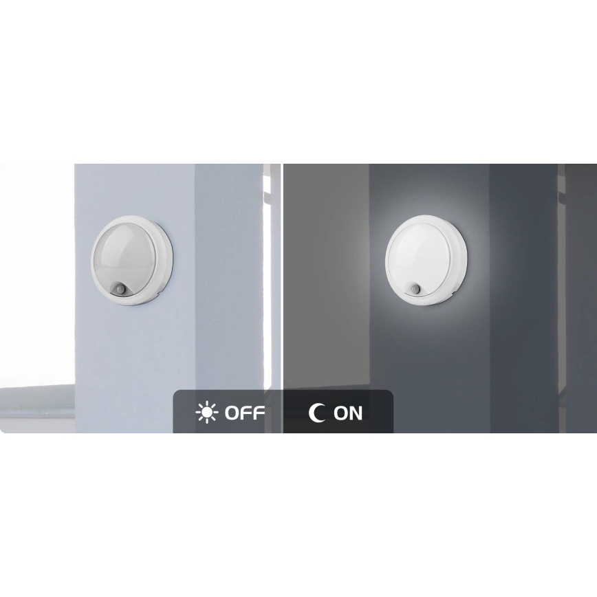 Rabalux - LED Vonkajšie nástenné svietidlo so senzorom LED/15W/230V IP54