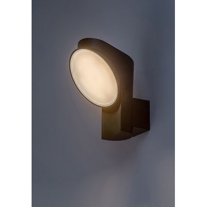 Rabalux - LED Vonkajšie nástenné svietidlo LED/12W/230V IP54