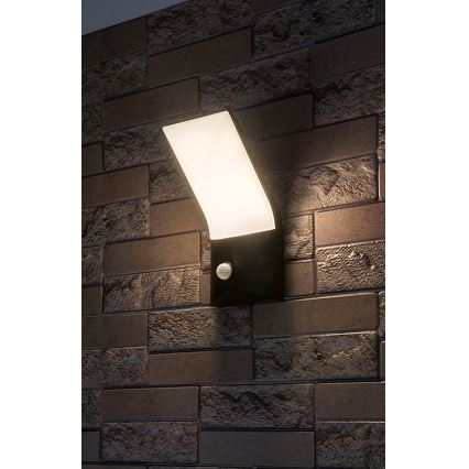 Rabalux - LED Vonkajšie nástenné svietidlo so senzorom LED/10W/230V IP54