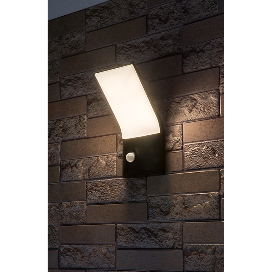 Rabalux - LED Vonkajšie nástenné svietidlo so senzorom LED/10W/230V IP54