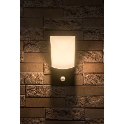 Rabalux - LED Vonkajšie nástenné svietidlo so senzorom LED/10W/230V IP54